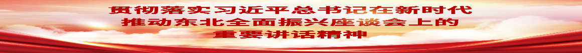 貫徹落實(shí)習(xí)近平總書記在新時(shí)代推動(dòng)?xùn)|北全面振興座談會(huì)上的重要講話精神